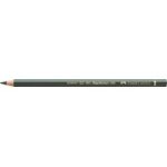 Faber-Castell Juniper Green Pencil Polychromos 165 Box Of 6
