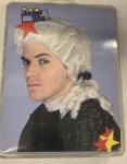 Judge Wig