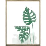 3 Pk Frame Print Leaf