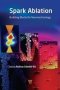 Spark Ablation - Building Blocks For Nanotechnology   Hardcover