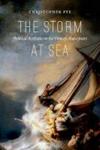 The Storm At Sea - Political Aesthetics In The Time Of Shakespeare Paperback