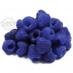 Blue Raspberry Concentrate - 50ML