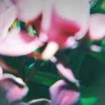 You Make Everything Disappear Cd