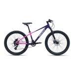 Avalanche Ignite 24" Disc Girls 2026