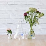 Propagation Vase - 1000ML