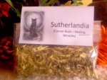 Sutherlandia Cancerbush Herb
