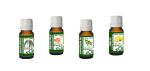Essential Oils Assortment Diffusion For Clean Air Air Sanitizing