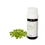 Escentia Myrtle Essential Oil - 11ML