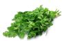 Parsley 'italian' Flat Leaf 6 Pack