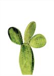 Prickly Pear 1 Art Print