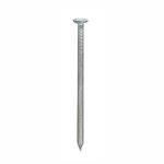 Wire Nail 50MM 2 500G P p