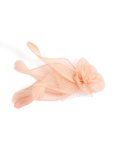 Peach Pink Flower & Feather Fascinator Comb