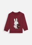 Miffy Graphic Sweatshirt