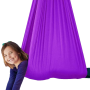 Sensory Swing - Purple
