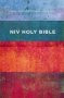 Niv Value Outreach Bible Paperback   Paperback Special Edition