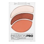 Trio Eyeshadow - Blush Flush