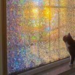 1 Roll Of Self-adhesive Pvc Glass Static Window Film Window Sticker Suitable For Bathroom And Toilet Floor-to-ceiling Windows Wa