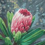 Adult Painting By Numbers - Queen Protea