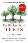 The Hidden Life Of Trees - What They Feel How They Communicate Paperback