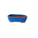 Assorted Glazed Bonsai Pots 7" - Blue Rectangular 19 X 14 X 6CM
