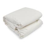 Goose Down And Feather Duvet Inner