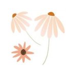 Small Sticker Set - Blush Flowers