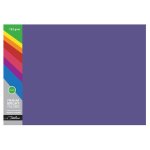 Premuim Deep Tint Purple Board Folders Foolscap 192GSM - 100S