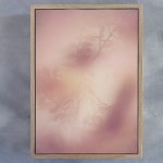 Blush Dreams 3 Art Print - A0 Framed Canvas With Natural Wood Frame