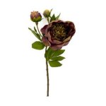 - Peony - Burgundy Green - 49CM