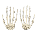 Halloween Large Hair Clips - Skeleton Hands - 17CM X 10CM