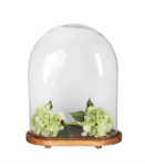 Oval Display Dome With Wooden Base 50CM H X 40CM L X 18CM W - 50CM H X 40CM L X 18CM W