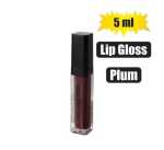Plum Lip Gloss Tinted 5ML Marketplace Brits Bros