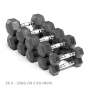 Alphastate Functional Hex Dumbbell Set 5-25KG