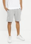 MSRT-69TARLEY4 Shorts - Grey