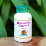 Boswellia Extract 90 Capsules Willow
