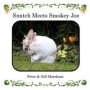 Snatch Meets Smokey Joe   Paperback