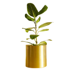 Minilux Planter Aurous - Medium