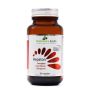 Hepaton - 1000MG Dandelion + 2500 Mg Milk Thistle +100MG Nac- Liver Formula