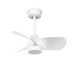 Fan Tasy Ceiling Fan With LED Light