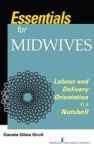 Essentials For Midwives - Labour And Orientation In A Nutshell Paperback