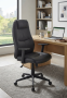 Linx QZY-N2450 Ergonomic Office Chair