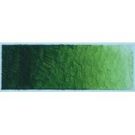 Arai Ara Acrylic Paint - 500 Ml - Hooker& 39 S Green Lake Deep Extra
