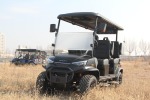 Dach Apollo Luxury Rugged Golf Cart With Cruise Control For