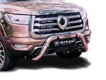 Gwm P-series 2021+ Nudge Bar Stainless Steel Asb