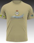 Eurofighter Typhoon T3 3SQN Raf