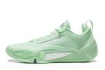 Li-ning Wade All City 14 Men's Basketball Shoes Lightweight High Rebound Basketball Professional Match Shoes Bleaching Sky Green