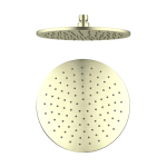 B Series - Large Brushed Gold Shower Head