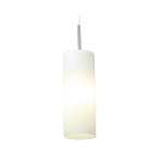 Troy Pendant Satin Chrome