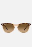 Eagle Eye ORB2398 - Havana On Transparent Brown
