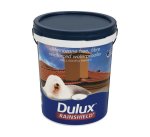 Dulux 20L Rainshield